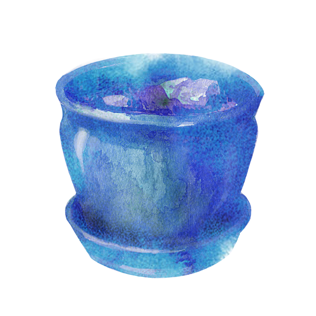 Planters & Pots
