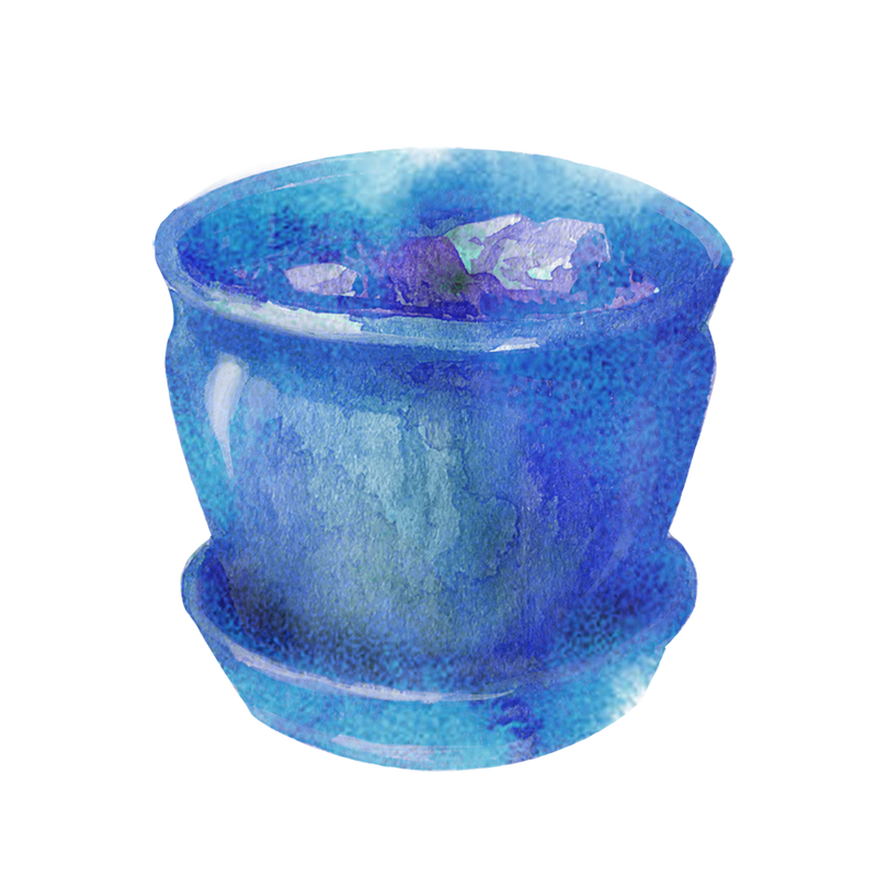 Planters & Pots