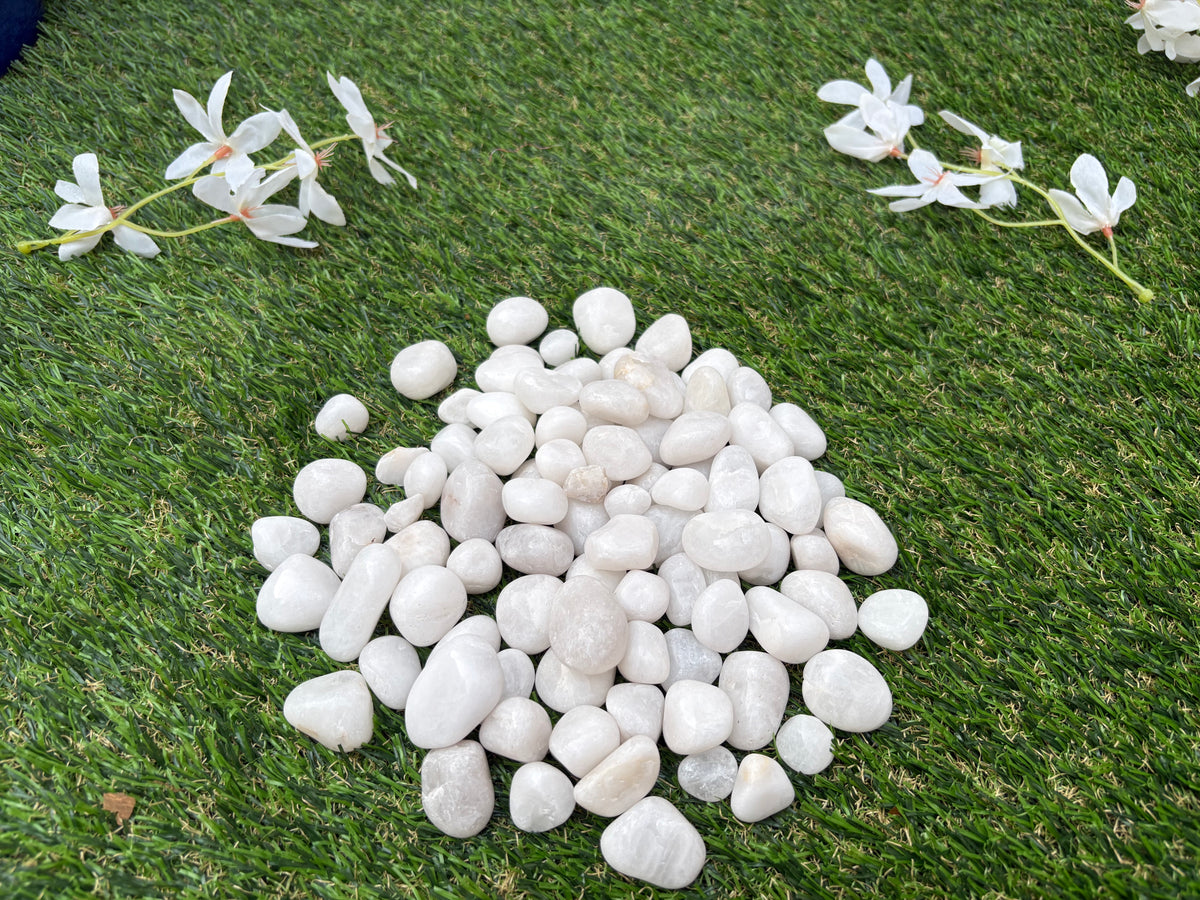 White Natural Pebble Stones for Garden & Home Décor