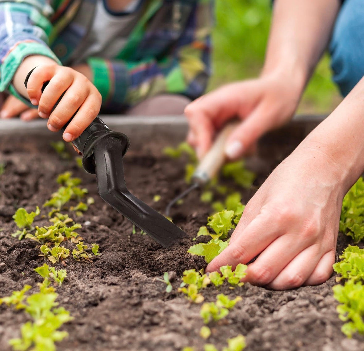 Hand Weeder & Garden Scraper with Ergonomic Grip